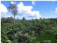 Mooloolah Valley QLD 4553