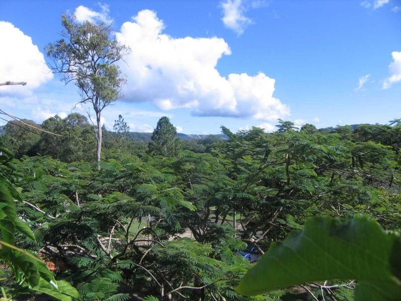 Mooloolah Valley QLD 4553