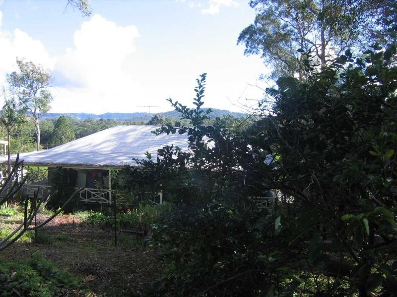Mooloolah Valley QLD 4553