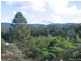 Mooloolah Valley QLD 4553