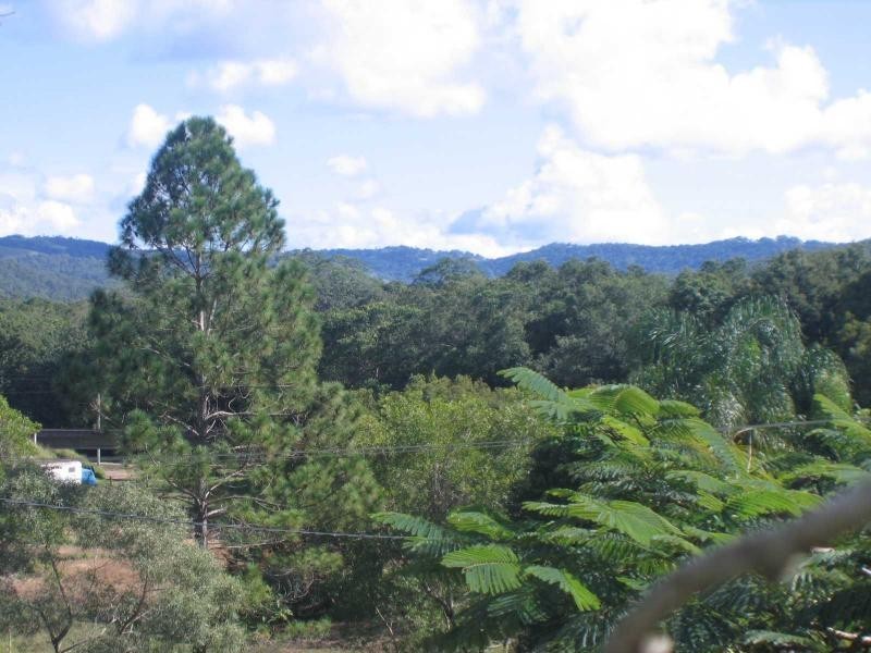 Mooloolah Valley QLD 4553
