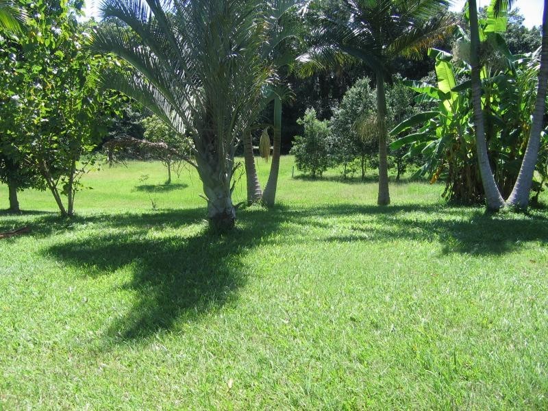 Mooloolah Valley QLD 4553