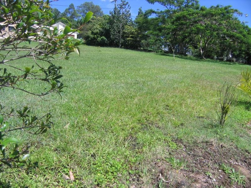 Mooloolah Valley QLD 4553