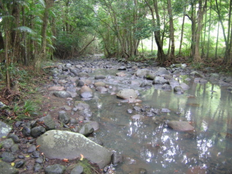 Diamond Valley QLD 4553