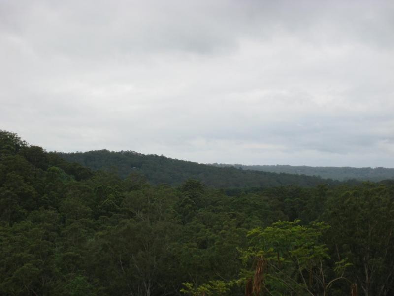 Eudlo QLD 4554
