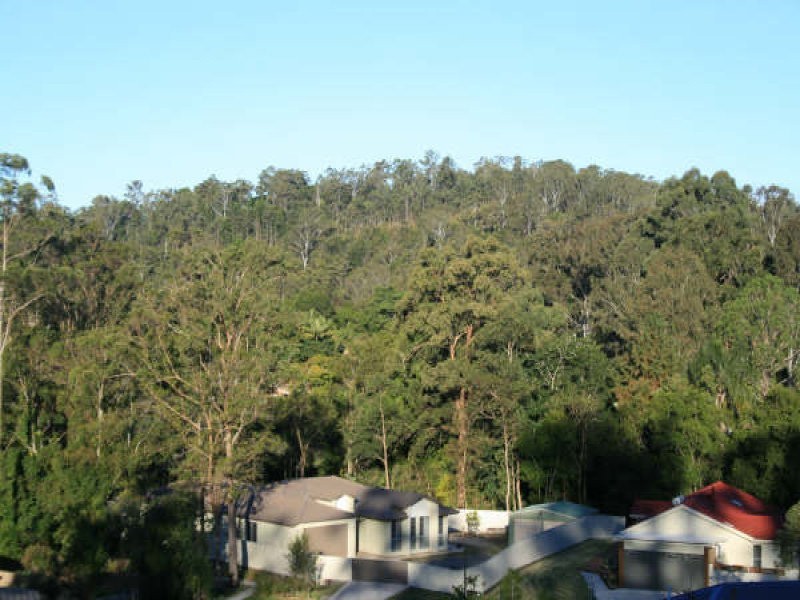 Mooloolah Valley QLD 4553