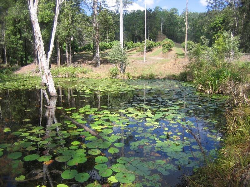 Mooloolah Valley QLD 4553