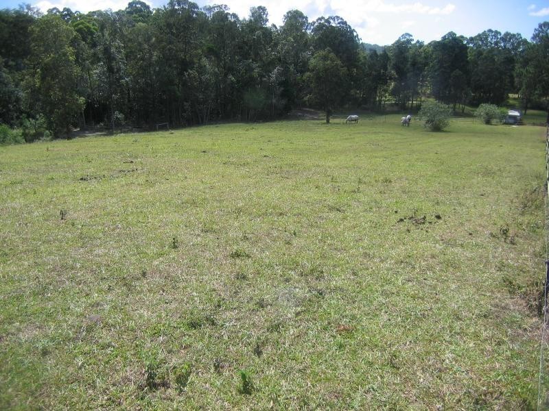 Mooloolah Valley QLD 4553