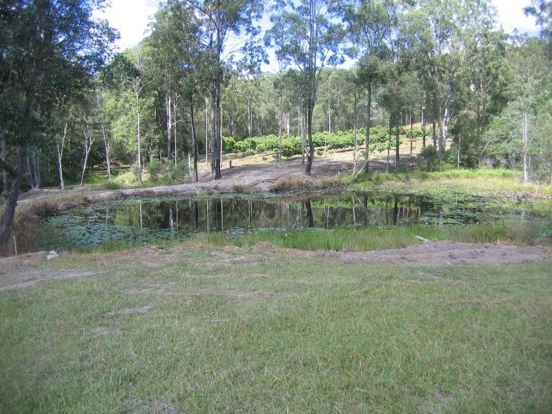 Mooloolah Valley QLD 4553