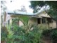 Mooloolah Valley QLD 4553