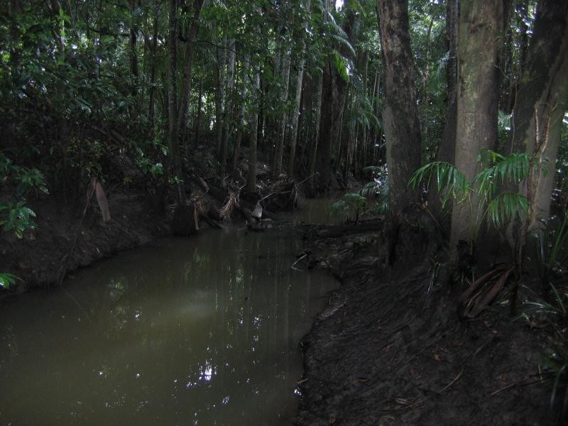 Mooloolah Valley QLD 4553