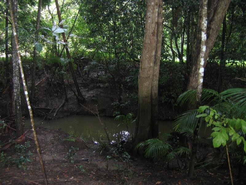 Mooloolah Valley QLD 4553
