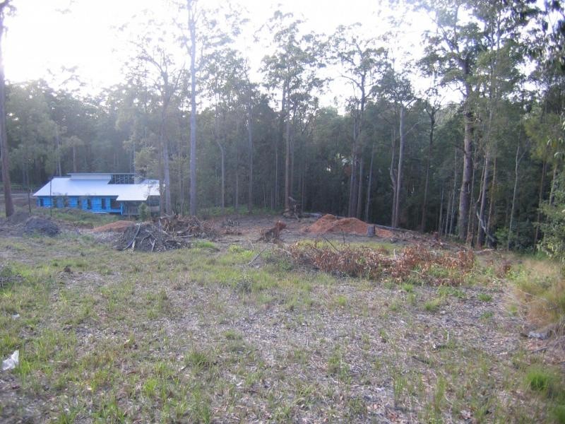 Mooloolah Valley QLD 4553