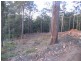Mooloolah Valley QLD 4553