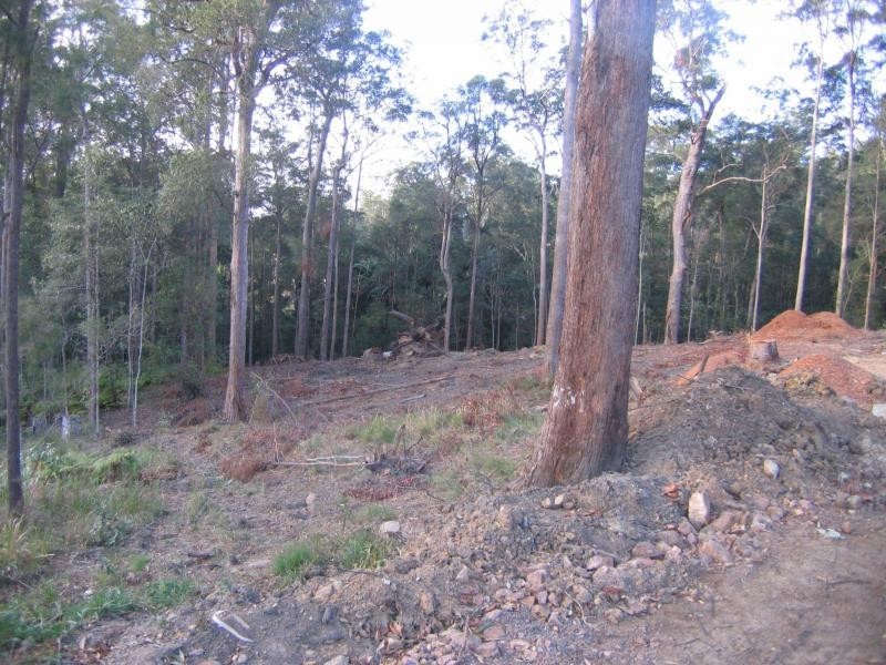 Mooloolah Valley QLD 4553