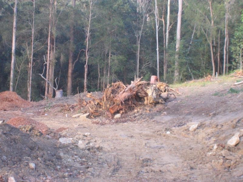 Mooloolah Valley QLD 4553