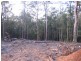 Mooloolah Valley QLD 4553