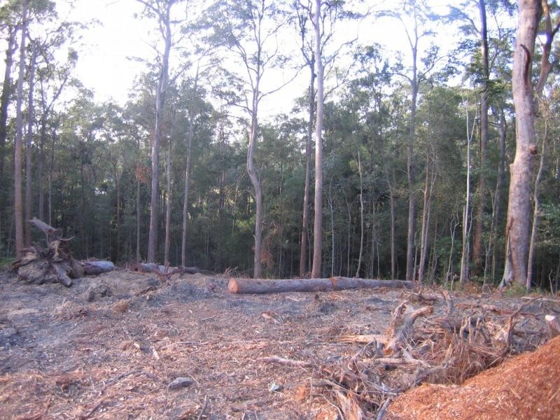 Mooloolah Valley QLD 4553