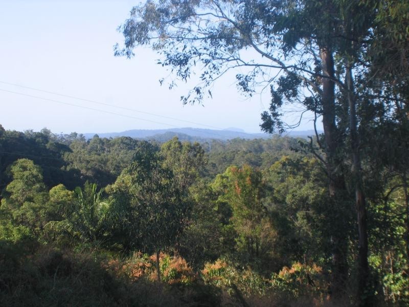 Mooloolah Valley QLD 4553