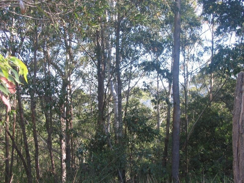 Mooloolah Valley QLD 4553