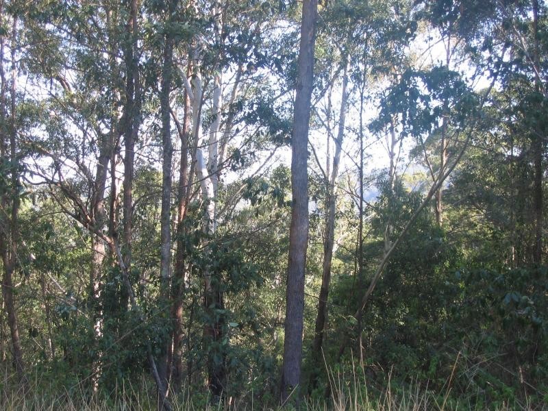 Mooloolah Valley QLD 4553