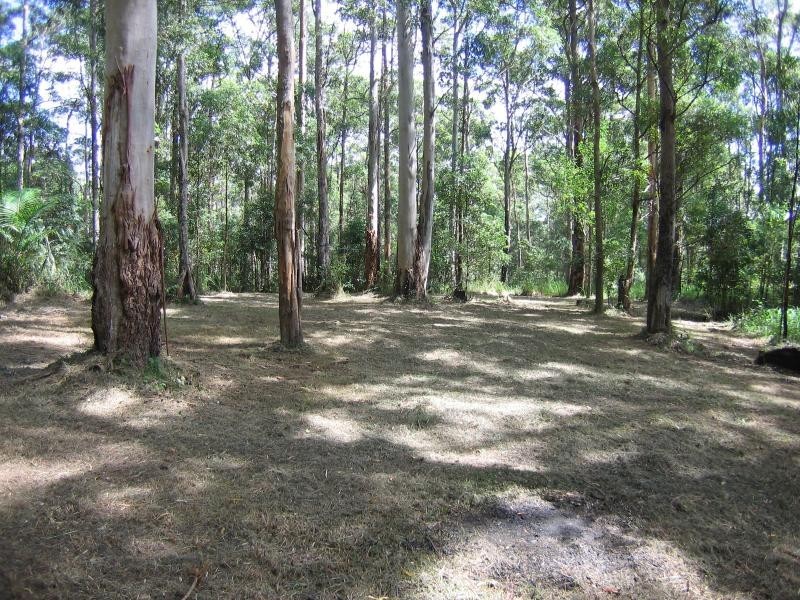 cnr/ Ekert Road, Curramore, Via Maleny, Maleny QLD 4552