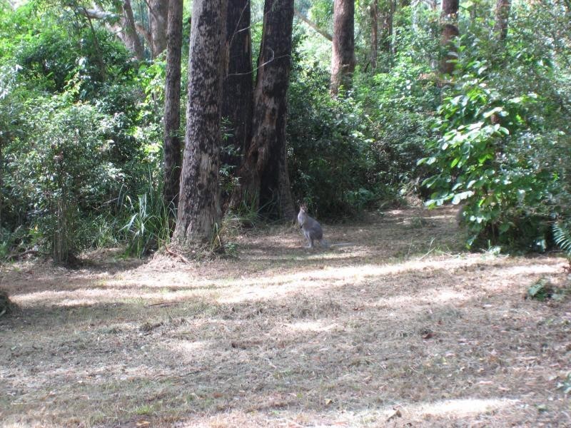 cnr/ Ekert Road, Curramore, Via Maleny, Maleny QLD 4552