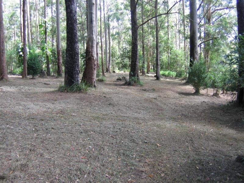 cnr/ Ekert Road, Curramore, Via Maleny, Maleny QLD 4552