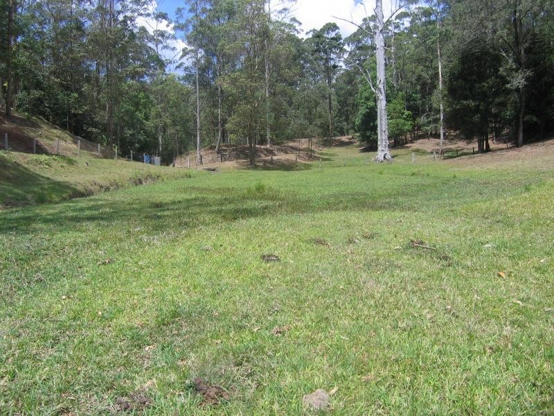 Mooloolah Valley QLD 4553