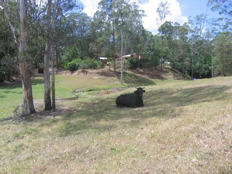 Mooloolah Valley QLD 4553