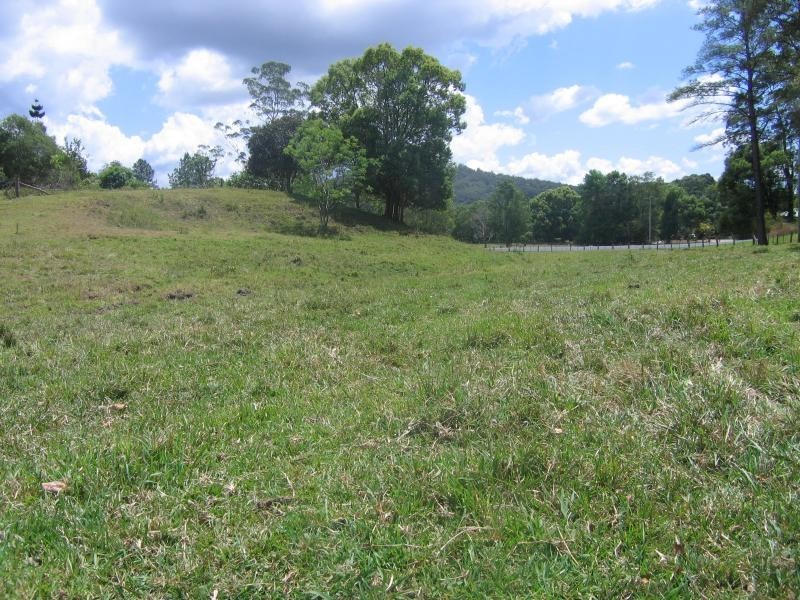 Mooloolah Valley QLD 4553