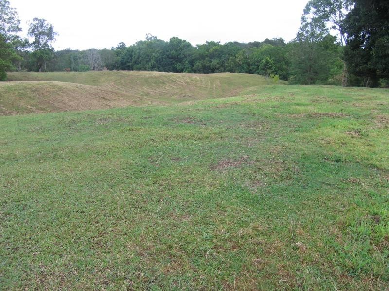 Mooloolah Valley QLD 4553