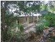 Mooloolah Valley QLD 4553