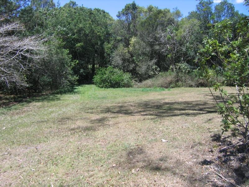Mooloolah Valley QLD 4553
