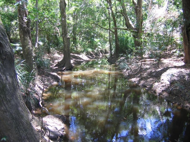 Mooloolah Valley QLD 4553