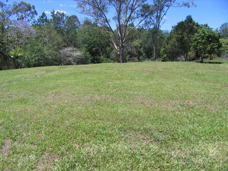 Mooloolah Valley QLD 4553
