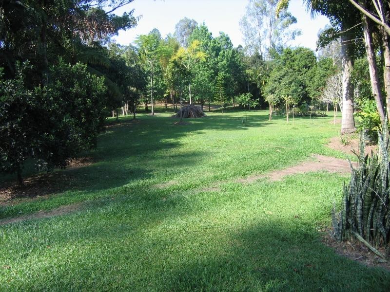 Mooloolah Valley QLD 4553