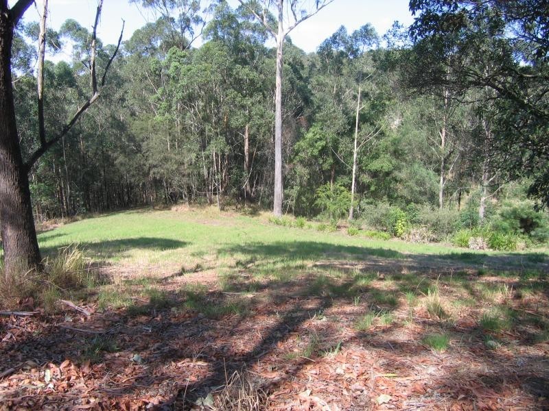 Mooloolah Valley QLD 4553