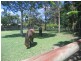 Mooloolah Valley QLD 4553