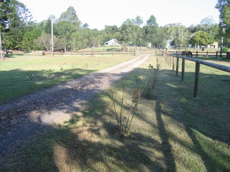 Mooloolah Valley QLD 4553