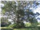 Mooloolah Valley QLD 4553