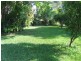 Mooloolah Valley QLD 4553