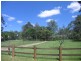 Mooloolah Valley QLD 4553