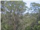 Eudlo QLD 4554