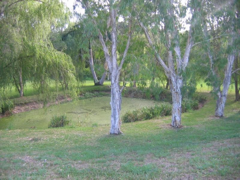 Mooloolah Valley QLD 4553