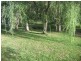 Mooloolah Valley QLD 4553