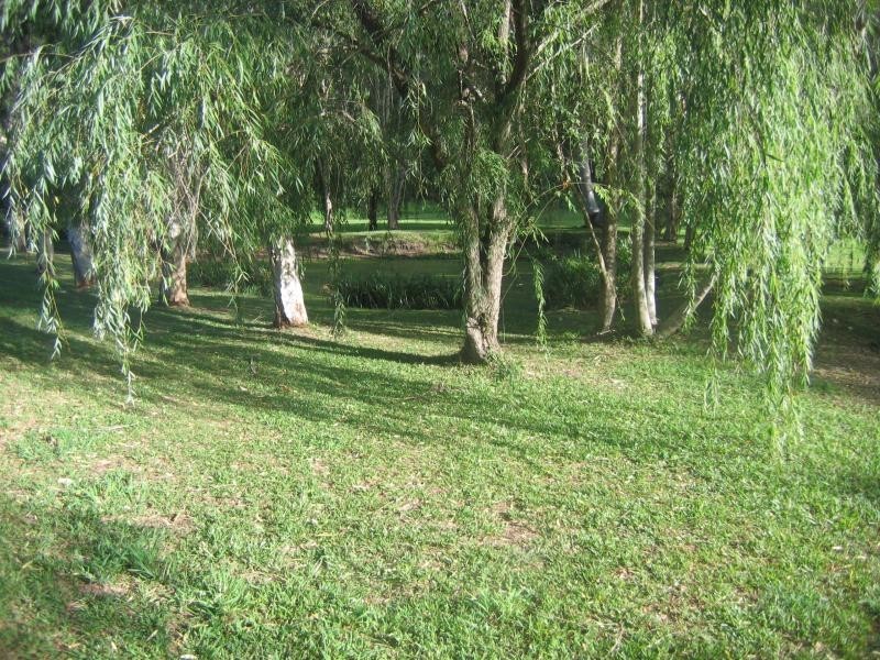 Mooloolah Valley QLD 4553
