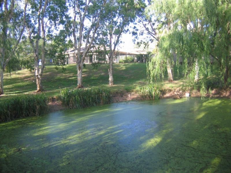 Mooloolah Valley QLD 4553