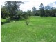 Mooloolah Valley QLD 4553