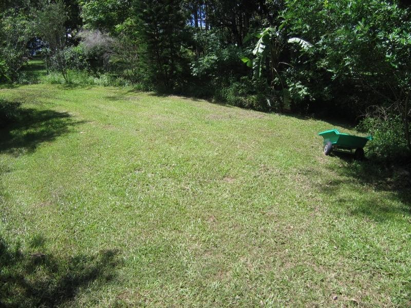 Mooloolah Valley QLD 4553